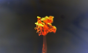 liquid-fire-explosion-lava-free-stock-photo-2